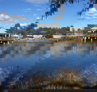 Puddleduck Vineyard - Dalby Accommodation