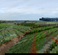 Razorback Ridge Wines - Dalby Accommodation