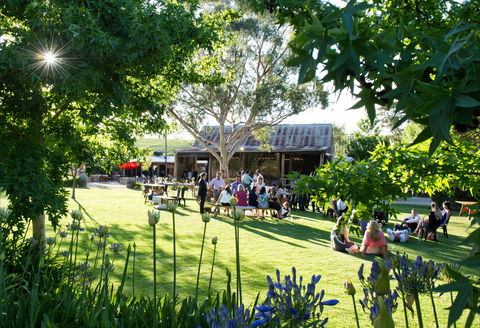 Barristers Block Premium Wines - Dalby Accommodation 0