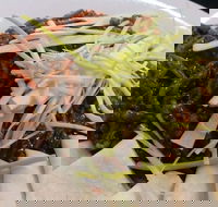 Rising Sun Hotel - Dalby Accommodation