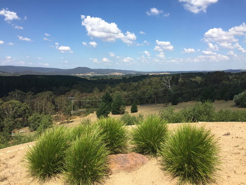 The Wine Collective - Dalby Accommodation 0