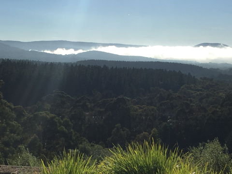 The Wine Collective - Dalby Accommodation 1