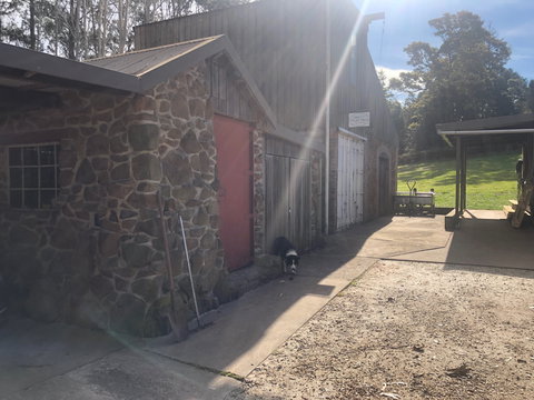 Wilmot Hills Orchard & Distillery - Dalby Accommodation 1