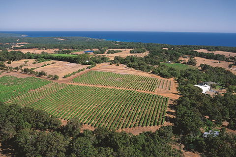 Wise Wine - Dalby Accommodation 0