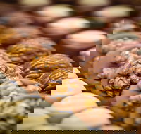 Challys Bar and Bistro - Dalby Accommodation