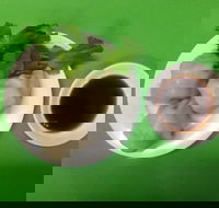 Red Ribbon Noodle  Rice - Dalby Accommodation