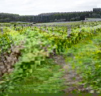 Suffoir Winery Brewery and Cidery - Dalby Accommodation