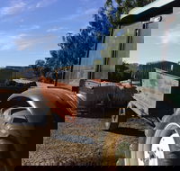 Massena - Dalby Accommodation