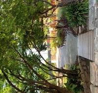 Velvet  Willow - Dalby Accommodation