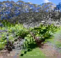 Woongooroo Estate Winery - Dalby Accommodation
