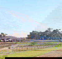 Blacklea Vineyard and Olive Grove - Dalby Accommodation