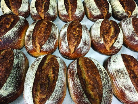 Farmer's Bakehouse - Dalby Accommodation 0