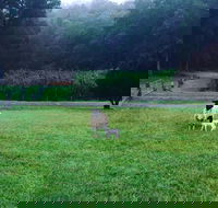 Goat Hill Farm - Dalby Accommodation