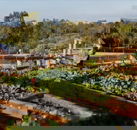 Homage - Dalby Accommodation