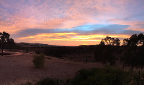 Peerick Vineyard And Winery - Dalby Accommodation 1