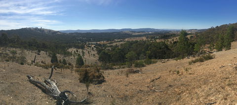 Peerick Vineyard And Winery - Dalby Accommodation 2