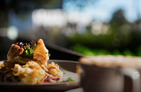 Wild Harvest - Dalby Accommodation 0