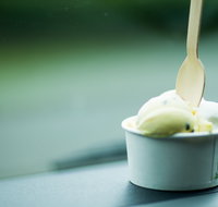 Daintree Ice Cream Company - Dalby Accommodation