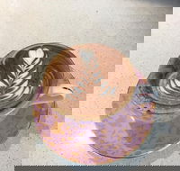 GV Hotel - Dalby Accommodation