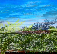 Rowsley Fault Vineyards - Dalby Accommodation