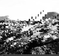 Ballabourneen Wine Co - Dalby Accommodation