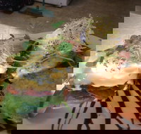 Cafe in the Mountains - Dalby Accommodation