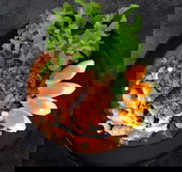 Pinto House - Dalby Accommodation