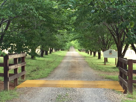 Stockmans Ridge Wines - Dalby Accommodation 1