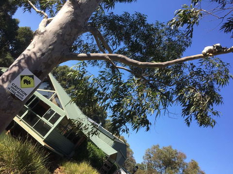 The Grove Vineyard Cafe - Dalby Accommodation 0