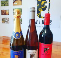 Ulster Park Wines - Dalby Accommodation