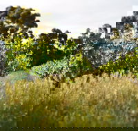 Happs Winery and Pottery - Dalby Accommodation