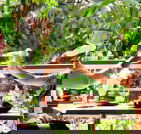 Jaques Coffee Plantation - Dalby Accommodation