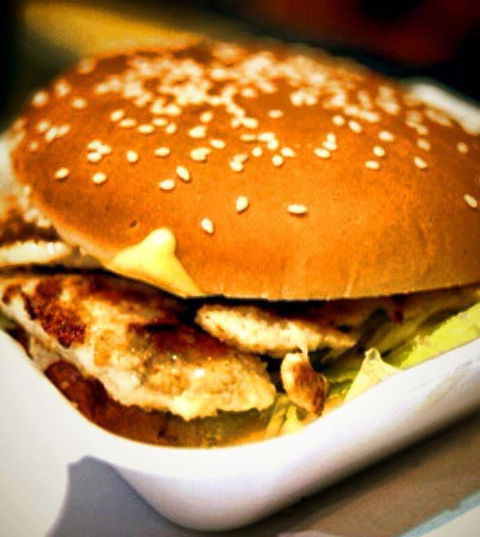 Ogalo - Bondi - Dalby Accommodation 0