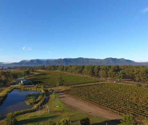 Mistletoe Winery - Dalby Accommodation 0