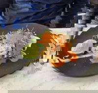 Wise Vineyard Restaurant - Dalby Accommodation