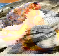 The Peak - Dalby Accommodation