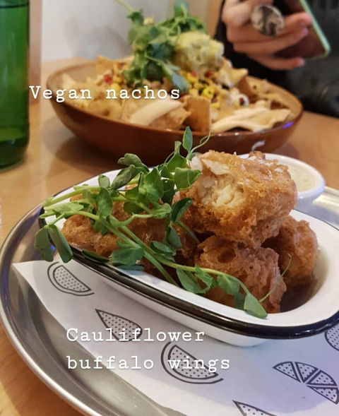 Veg Bar - Dalby Accommodation 6