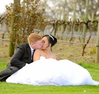 Wild Cattle Creek Estate Restaurant - Dalby Accommodation