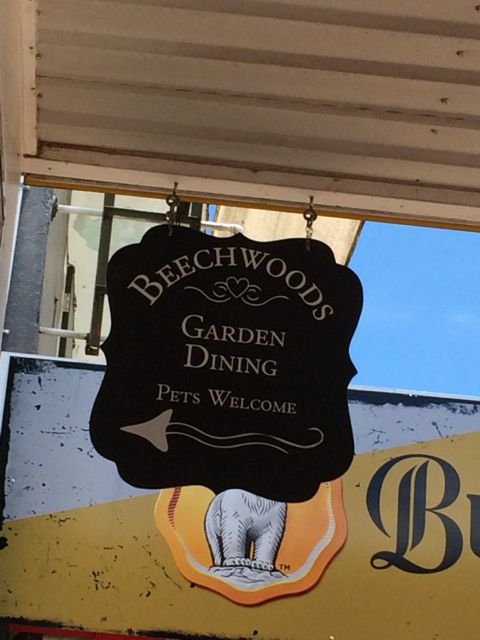 Beechwoods Cafe - Dalby Accommodation 4