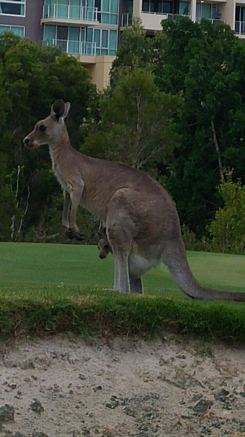 T On Course - Dalby Accommodation 6