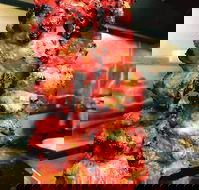 SKs indian restaurant - Dalby Accommodation