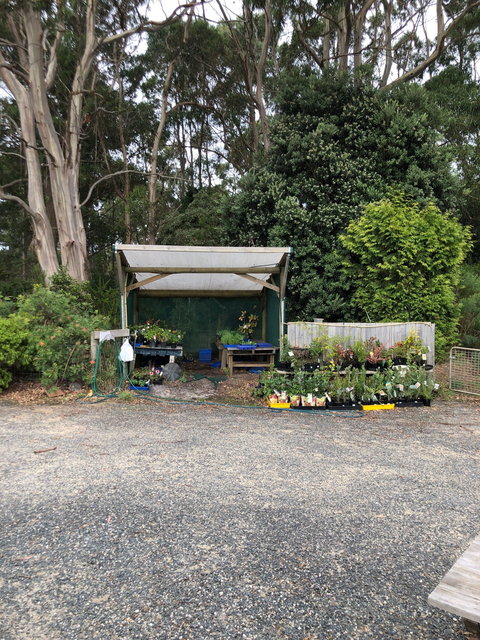 Cafe Brewer - Dalby Accommodation 8