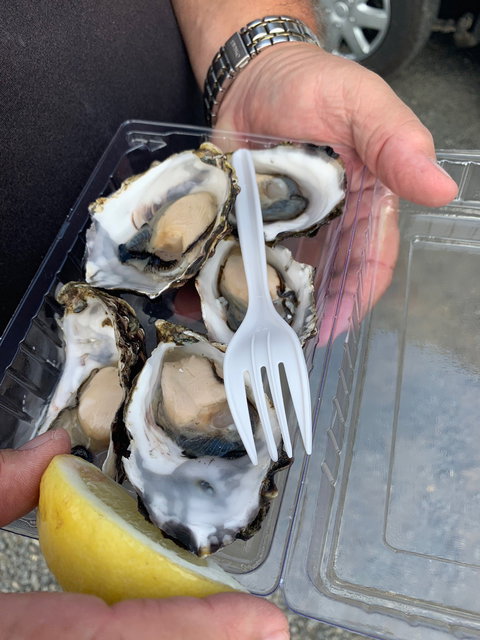 DOO-Lishus - Dalby Accommodation 5