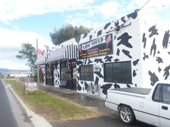Avoca TAS Dalby Accommodation