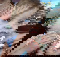 Rose's Bakery - Dalby Accommodation