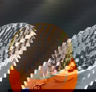 The Daily Grind Cafe - Dalby Accommodation