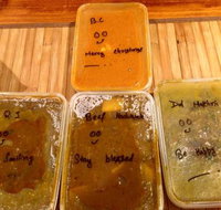 Surya Indian Cuisine - Dalby Accommodation