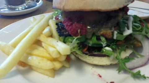 The Olive Branch - Dalby Accommodation 0