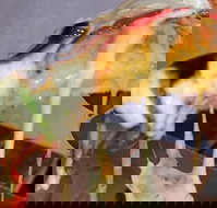 A Taste Of Africa Maleny - Dalby Accommodation