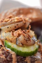 The CubbyHouse On Maple - Dalby Accommodation 3